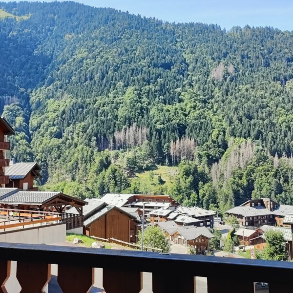 Summer view from the balcony